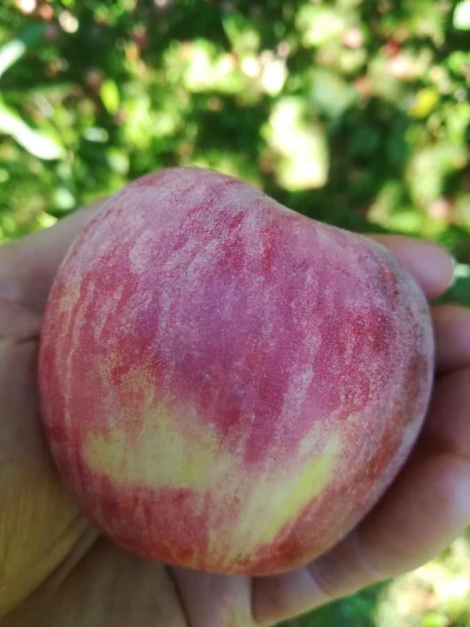 Ruralna Kuca Za Odmor Pozojova Hiza - Rural Holiday House Lopatinec Εξωτερικό φωτογραφία