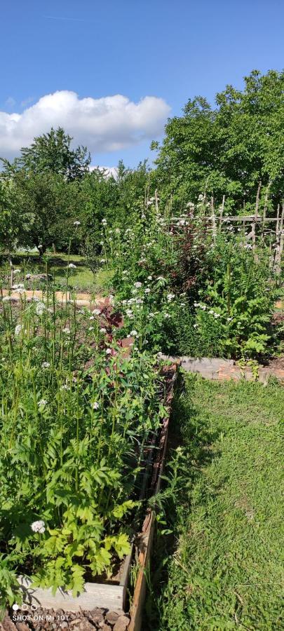 Ruralna Kuca Za Odmor Pozojova Hiza - Rural Holiday House Lopatinec Εξωτερικό φωτογραφία