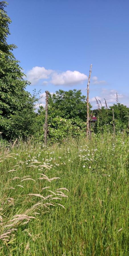 Ruralna Kuca Za Odmor Pozojova Hiza - Rural Holiday House Lopatinec Εξωτερικό φωτογραφία